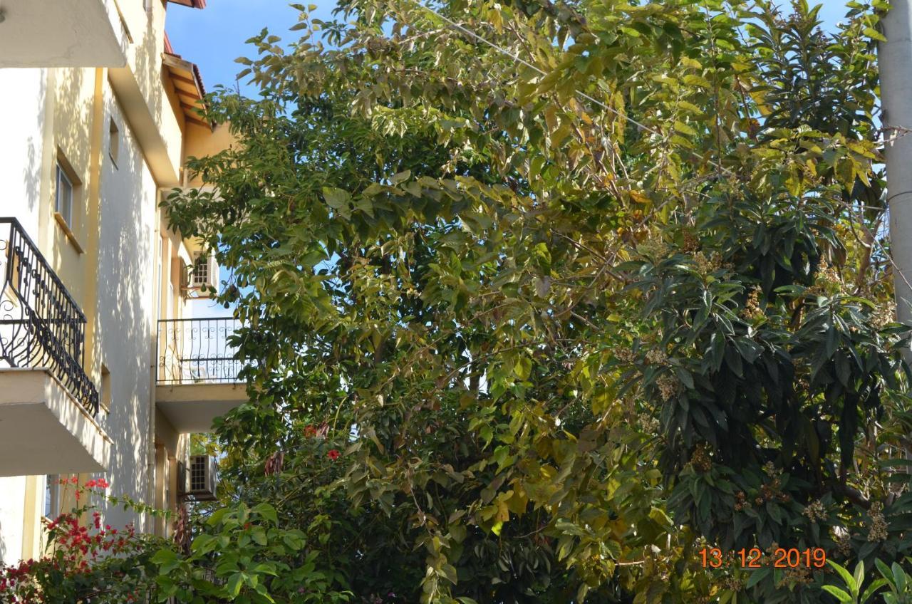 Hotel Uygar Fethiye Ngoại thất bức ảnh